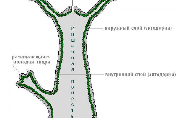 Kra37.cc