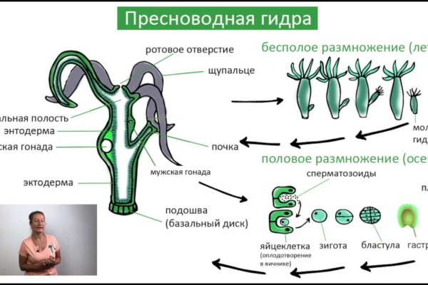 Кракен что продается