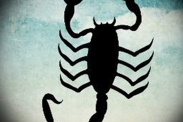 Kraken dark