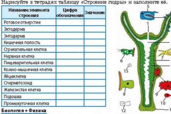 Kraken 13 at сайт