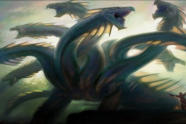 Kraken 17 at net